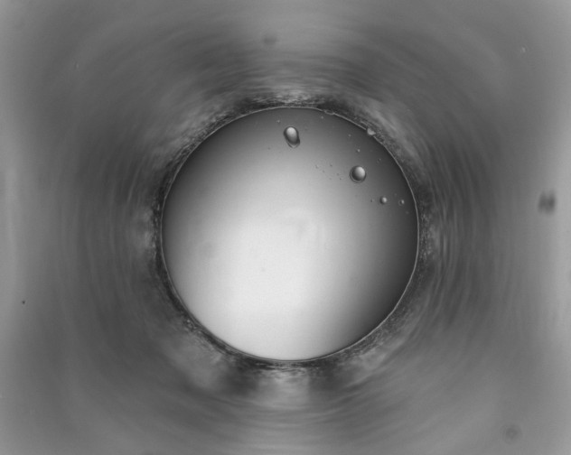 X0000090980317200708091503