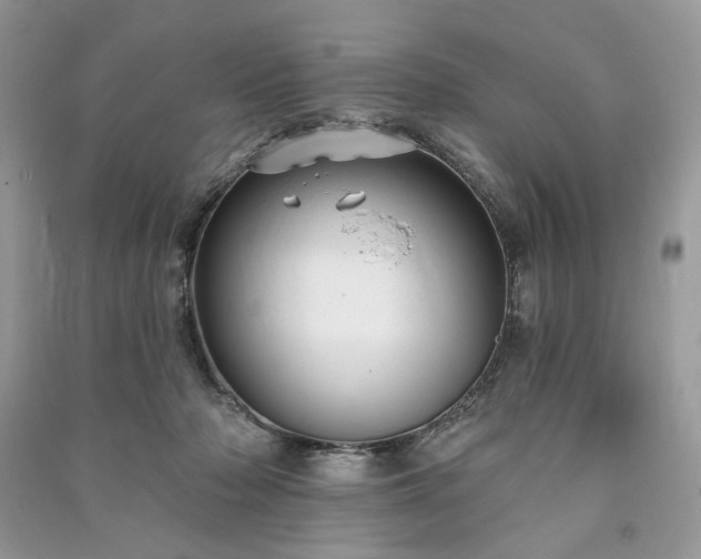 X0000090980318200708091503