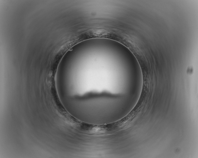 X0000090980319200708091503