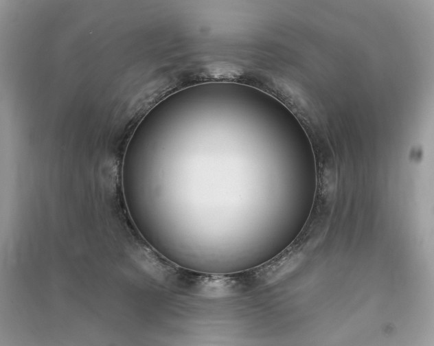 X0000090980321200708091503