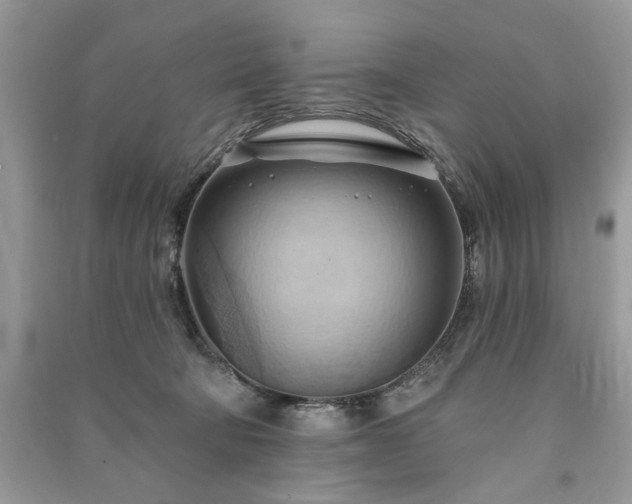 X0000090980322200708091503