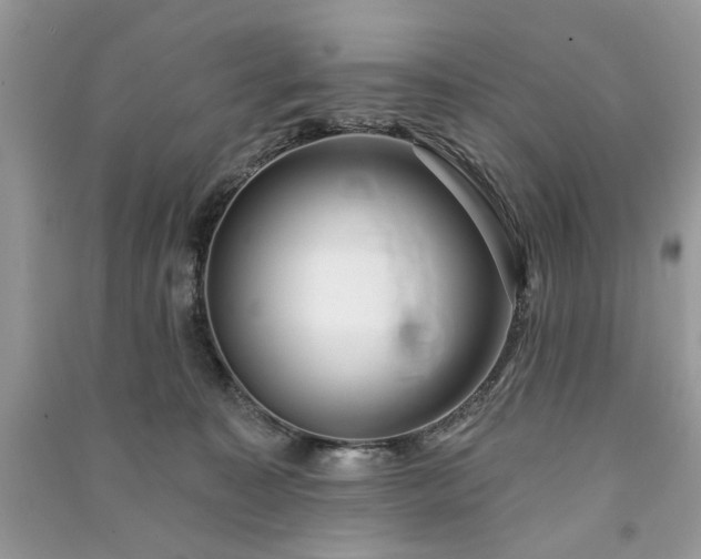 X0000090980323200708091503
