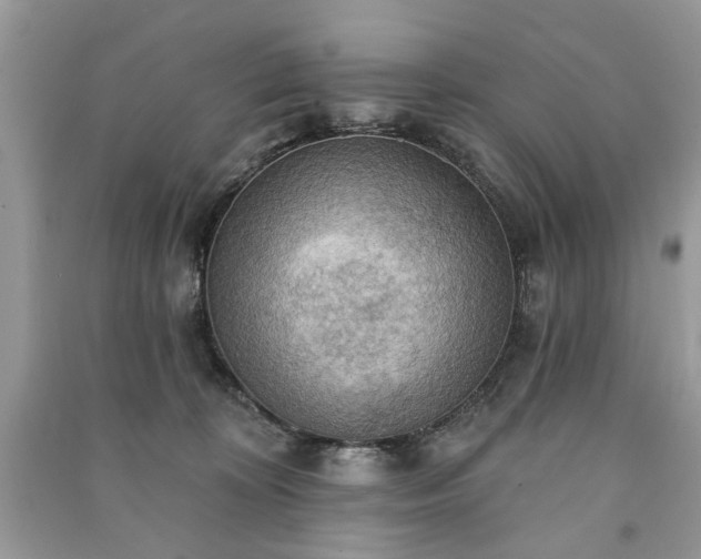 X0000090980324200708091503