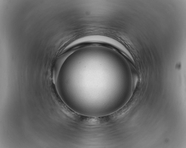 X0000090980325200708091503