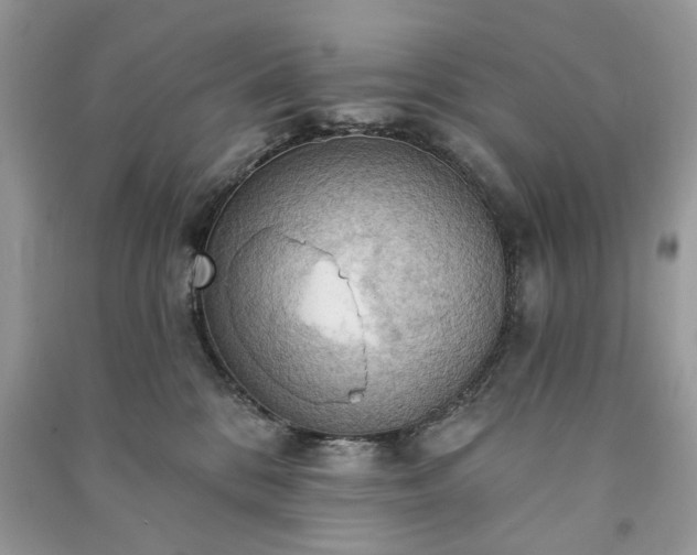X0000090980328200708091503
