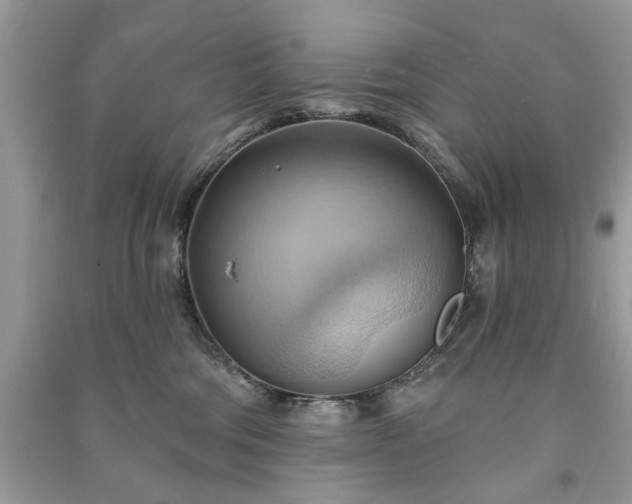 X0000090980330200708091503