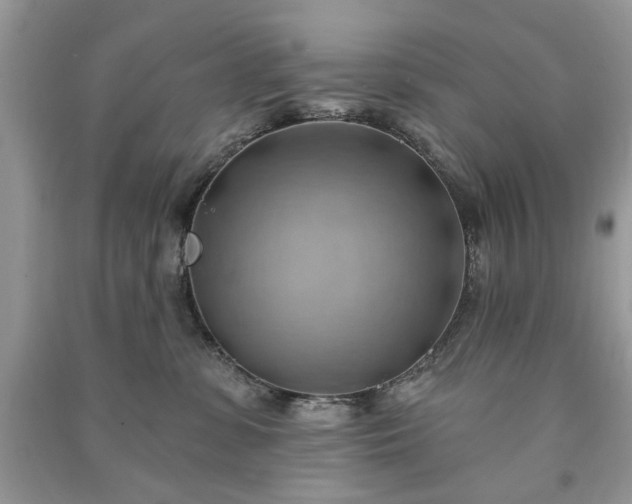 X0000090980331200708091503