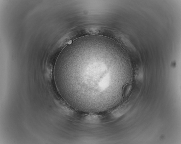 X0000090980332200708091503