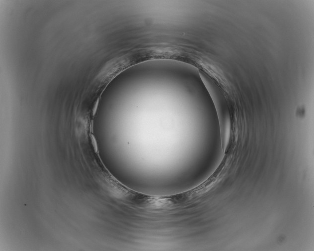 X0000090980333200708091503