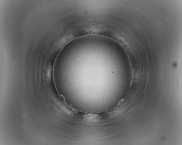 X0000090980334200708091503