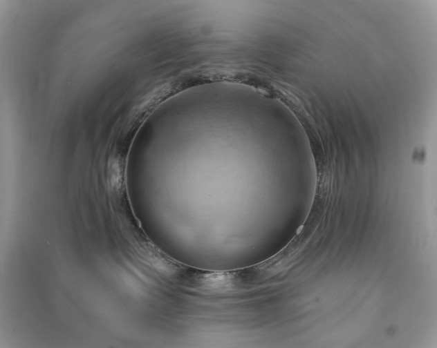 X0000090980335200708091503