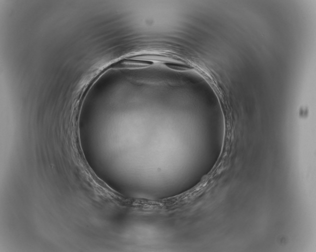 X0000090980337200708091502