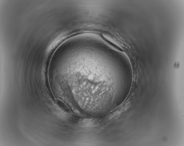 X0000090980341200708091502