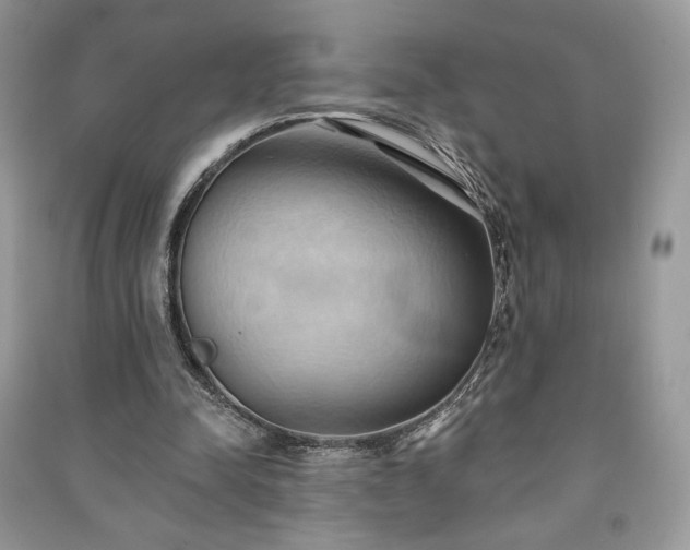 X0000090980342200708091502