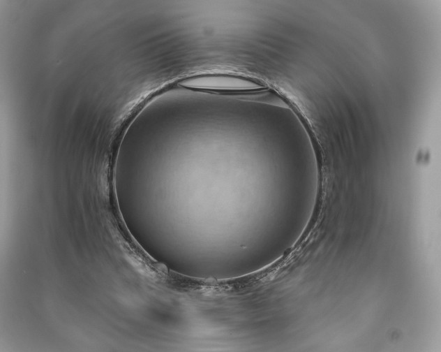 X0000090980345200708091502
