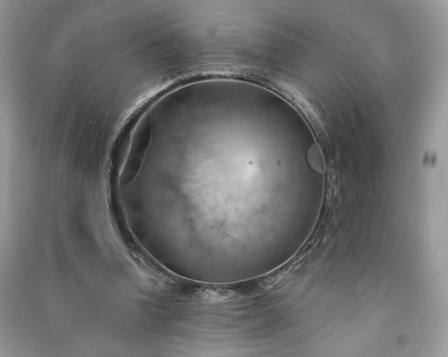 X0000090980346200708091502