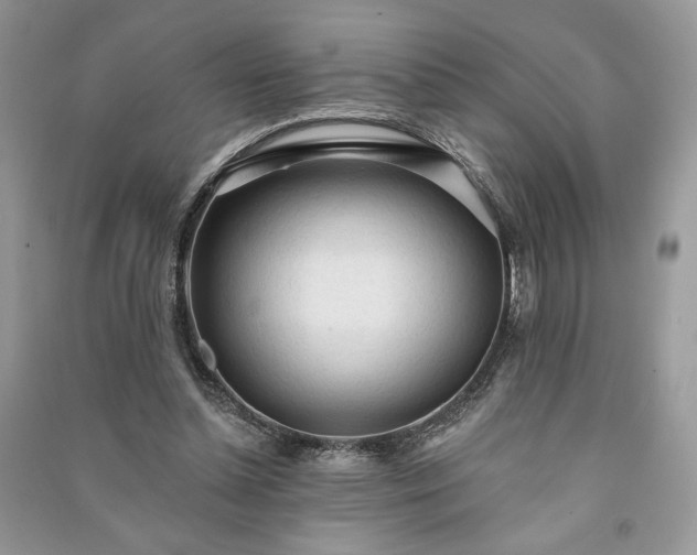 X0000090980348200708091502