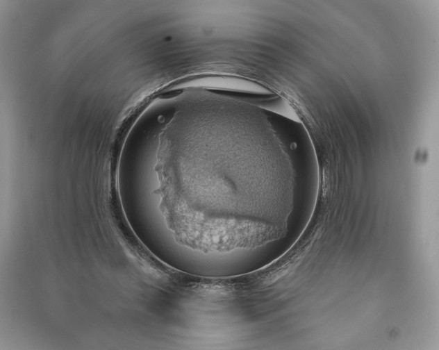 X0000090980349200708091502