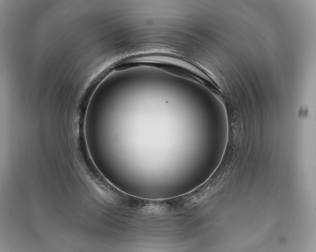 X0000090980350200708091502