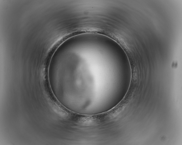 X0000090980351200708091502