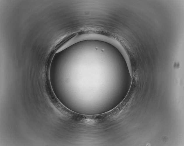 X0000090980352200708091502