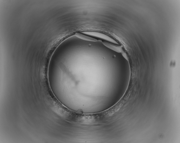 X0000090980353200708091502
