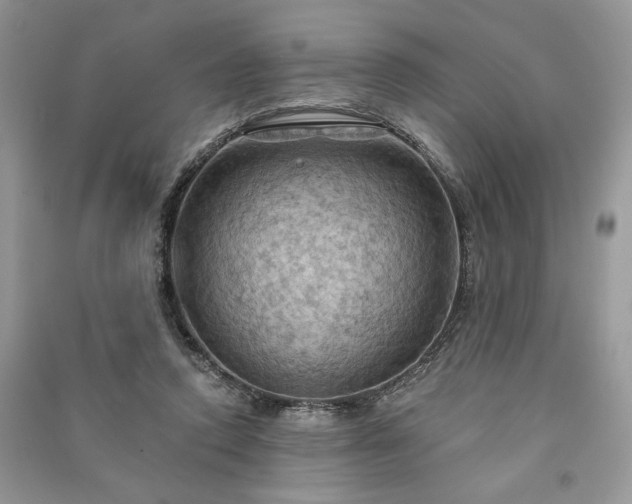X0000090980354200708091502