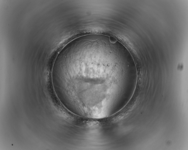 X0000090980355200708091502