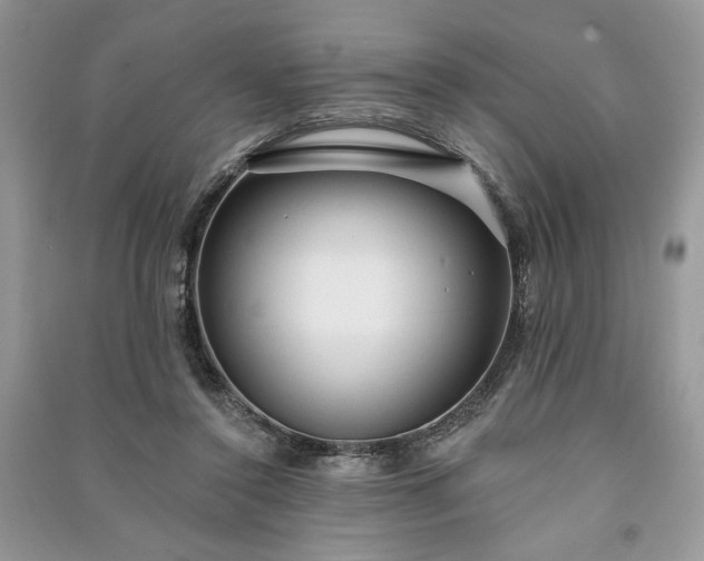 X0000090980356200708091502