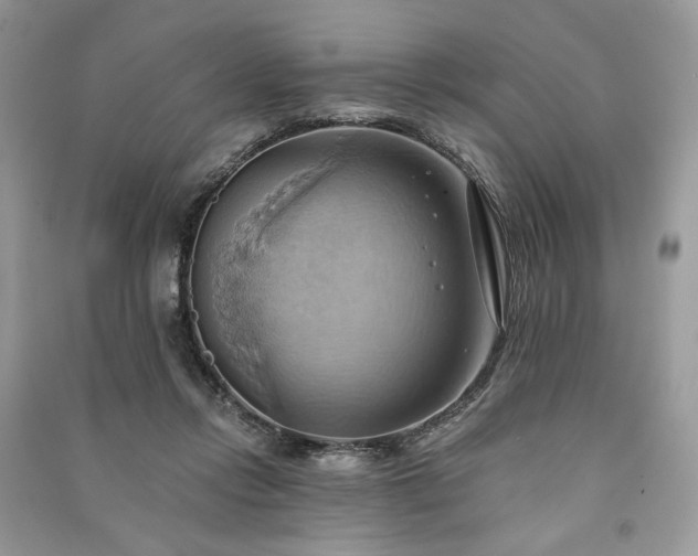 X0000090980358200708091502