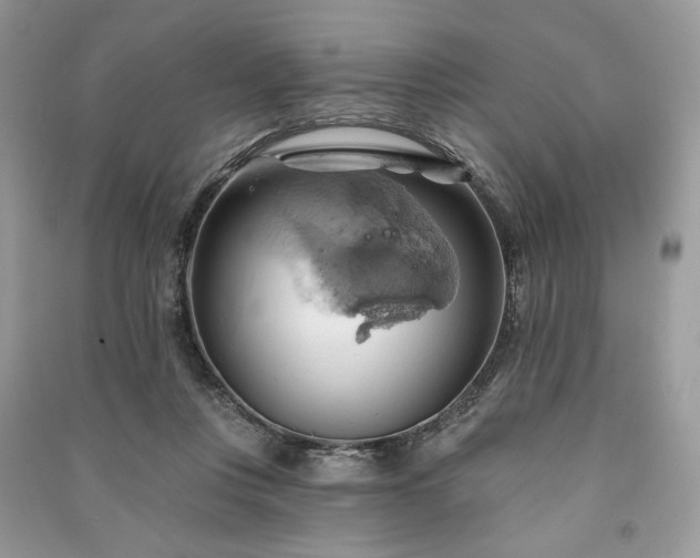 X0000090980359200708091502