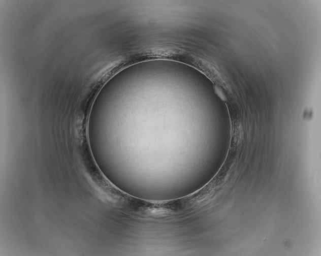 X0000090980360200708091502