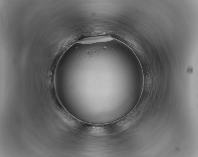 X0000090980361200708091502