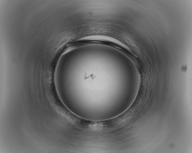 X0000090980362200708091502