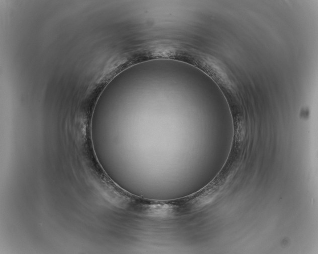 X0000090980363200708091502