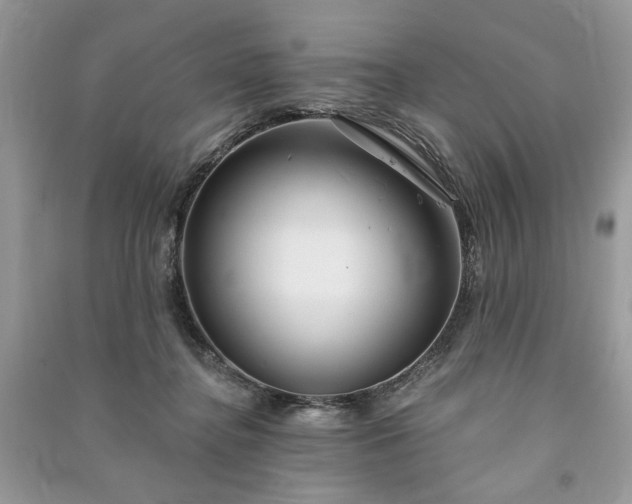 X0000090980364200708091502