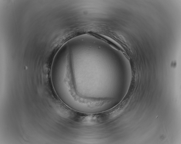 X0000090980366200708091502