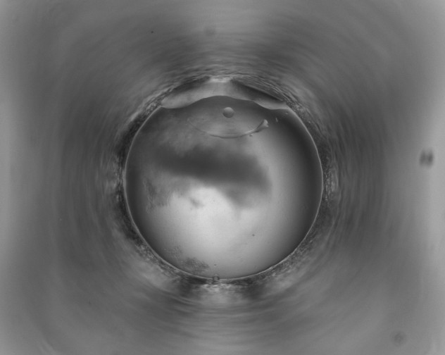 X0000090980367200708091502