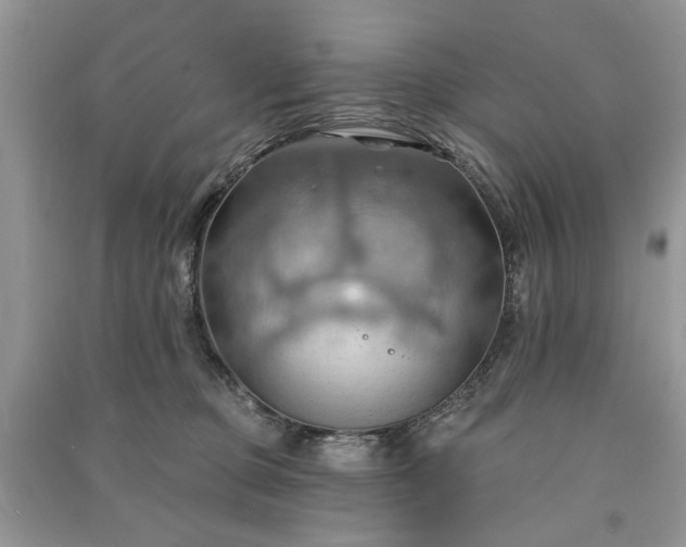 X0000090980373200708091503