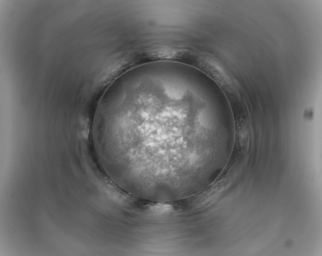 X0000090980374200708091503