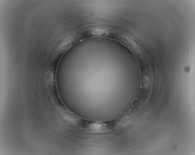 X0000090980375200708091503