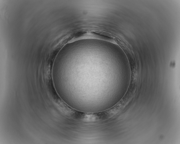 X0000090980376200708091503