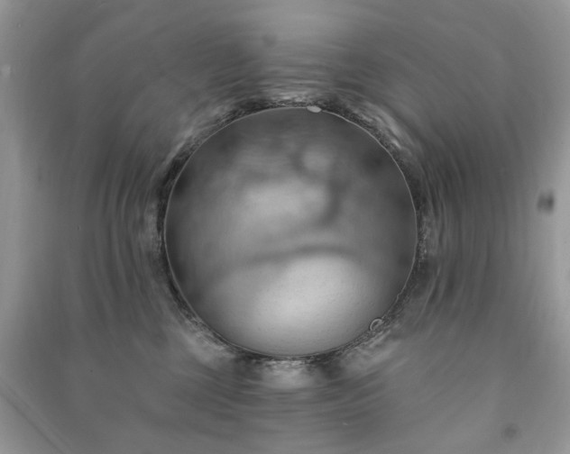 X0000090980377200708091503