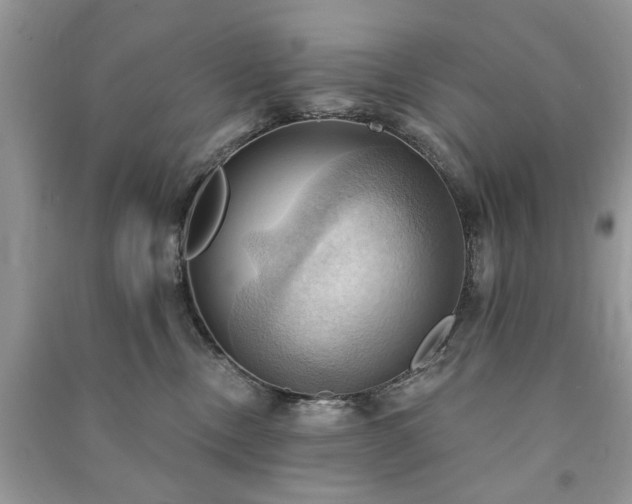 X0000090980378200708091503