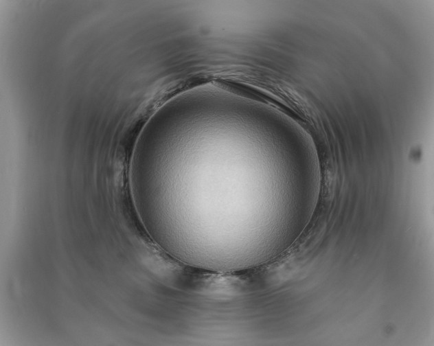 X0000090980379200708091503