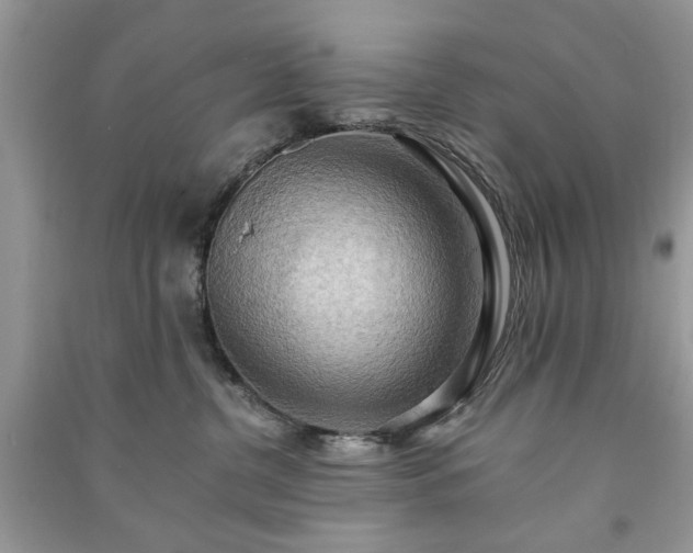 X0000090980380200708091503