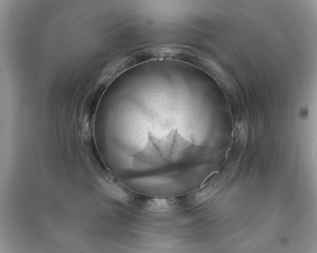 X0000090980381200708091503