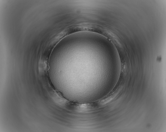X0000090980382200708091503