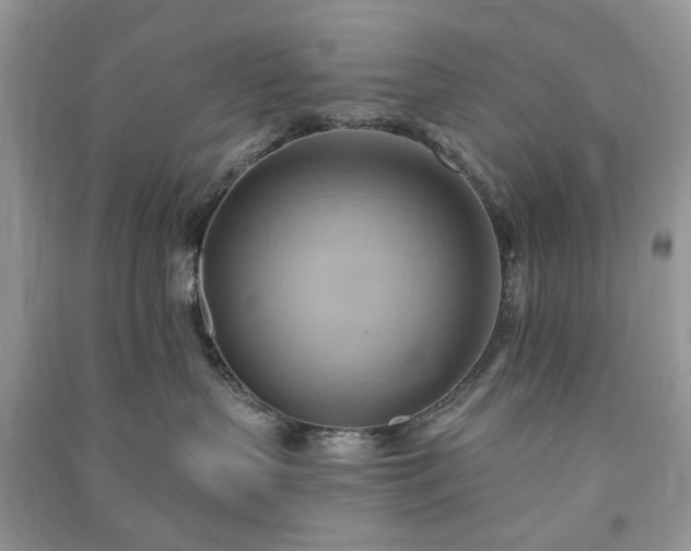 X0000090980383200708091503