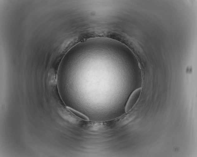 X0000090980384200708091503